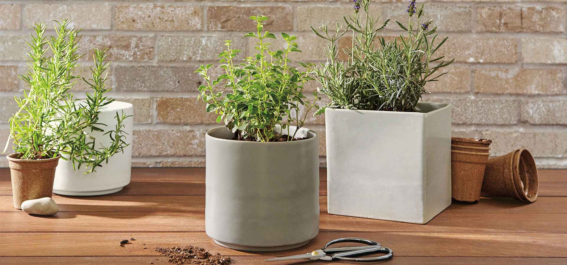 Modern Planters For Indoors Or Out   Planters Banner 1920px2 