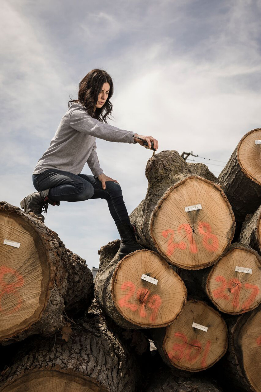 A woman inspects pile of tree trunks that are from wood reclaimed from disease or storm damage.